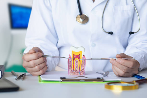 Best Emergency Dental Filling Replacement  in Chillicothe, OH